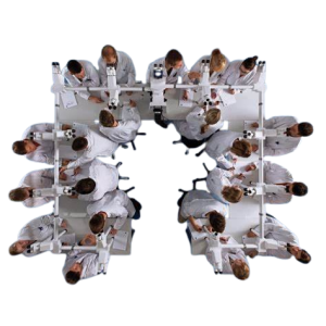 Multidiscussion System